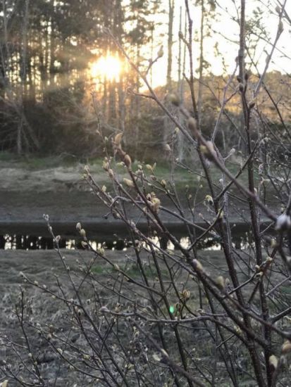 Late-May sunrise in Machias